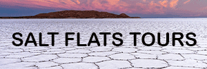Bolivia Salt Flats Tours